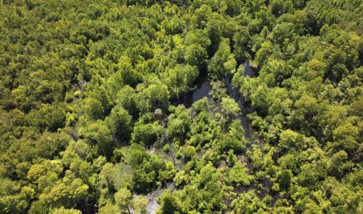 Photo #30 of 5799 Tolarsville Road , Saint Pauls , NC 439.0 acres