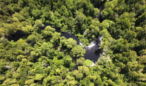 Photo #31 of 5799 Tolarsville Road , Saint Pauls , NC 439.0 acres