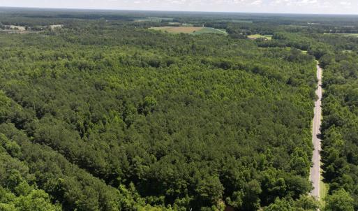 Photo #33 of 5799 Tolarsville Road , Saint Pauls , NC 439.0 acres