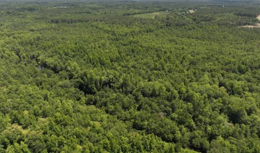 Photo #34 of 5799 Tolarsville Road , Saint Pauls , NC 439.0 acres