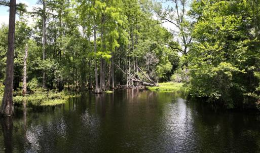 Photo #35 of 5799 Tolarsville Road , Saint Pauls , NC 439.0 acres