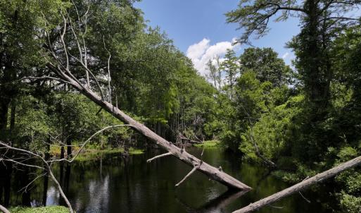Photo #37 of 5799 Tolarsville Road , Saint Pauls , NC 439.0 acres