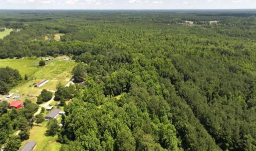 Photo #38 of 5799 Tolarsville Road , Saint Pauls , NC 439.0 acres