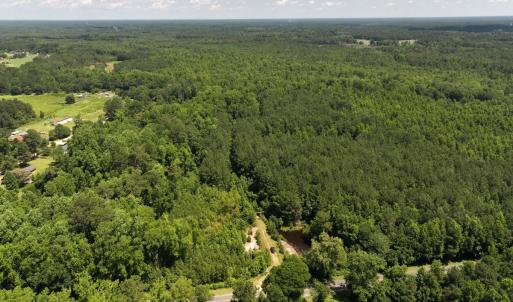 Photo #39 of 5799 Tolarsville Road , Saint Pauls , NC 439.0 acres