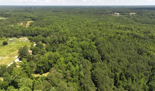 Photo #40 of 5799 Tolarsville Road , Saint Pauls , NC 439.0 acres