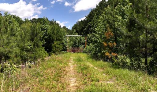Photo #5 of 5799 Tolarsville Road , Saint Pauls , NC 439.0 acres