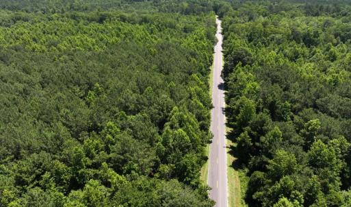 Photo #6 of 5799 Tolarsville Road , Saint Pauls , NC 439.0 acres