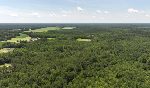 Photo #7 of 5799 Tolarsville Road , Saint Pauls , NC 439.0 acres