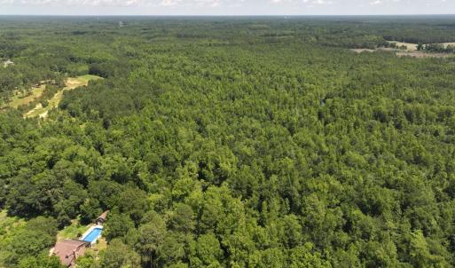 Photo #41 of 5799 Tolarsville Road , Saint Pauls , NC 439.0 acres