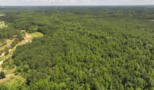 Photo #42 of 5799 Tolarsville Road , Saint Pauls , NC 439.0 acres