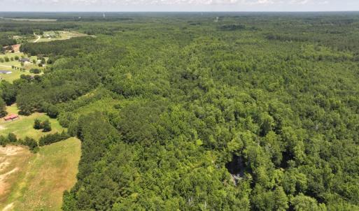 Photo #43 of 5799 Tolarsville Road , Saint Pauls , NC 439.0 acres