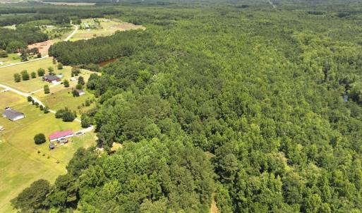 Photo #44 of 5799 Tolarsville Road , Saint Pauls , NC 439.0 acres