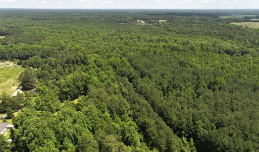 Photo #45 of 5799 Tolarsville Road , Saint Pauls , NC 439.0 acres