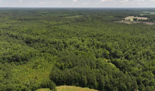 Photo #46 of 5799 Tolarsville Road , Saint Pauls , NC 439.0 acres