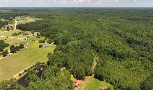 Photo #47 of 5799 Tolarsville Road , Saint Pauls , NC 439.0 acres