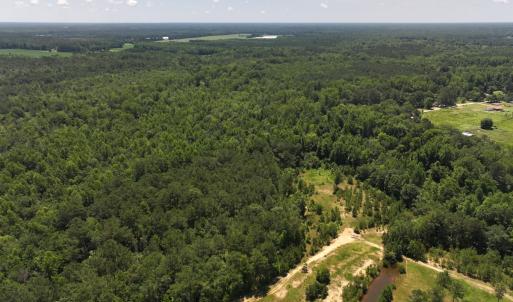 Photo #48 of 5799 Tolarsville Road , Saint Pauls , NC 439.0 acres