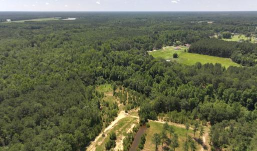 Photo #49 of 5799 Tolarsville Road , Saint Pauls , NC 439.0 acres