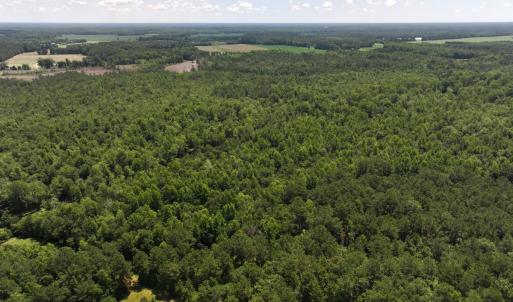 Photo #50 of 5799 Tolarsville Road , Saint Pauls , NC 439.0 acres