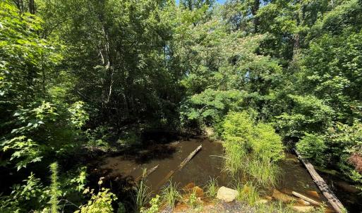 Photo #52 of 5799 Tolarsville Road , Saint Pauls , NC 439.0 acres