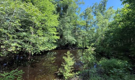 Photo #54 of 5799 Tolarsville Road , Saint Pauls , NC 439.0 acres