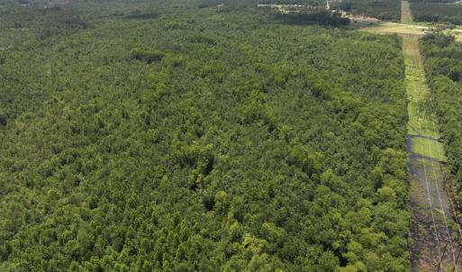 Photo #56 of 5799 Tolarsville Road , Saint Pauls , NC 439.0 acres