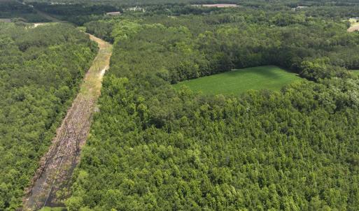 Photo #57 of 5799 Tolarsville Road , Saint Pauls , NC 439.0 acres