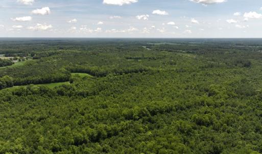 Photo #59 of 5799 Tolarsville Road , Saint Pauls , NC 439.0 acres