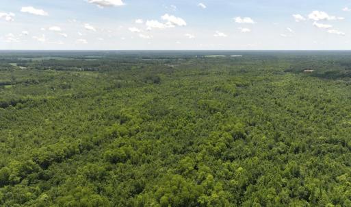 Photo #61 of 5799 Tolarsville Road , Saint Pauls , NC 439.0 acres