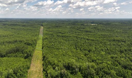 Photo #62 of 5799 Tolarsville Road , Saint Pauls , NC 439.0 acres