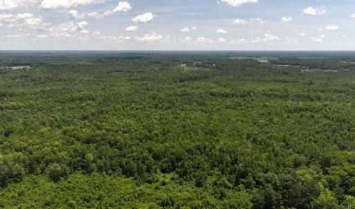 Photo #63 of 5799 Tolarsville Road , Saint Pauls , NC 439.0 acres