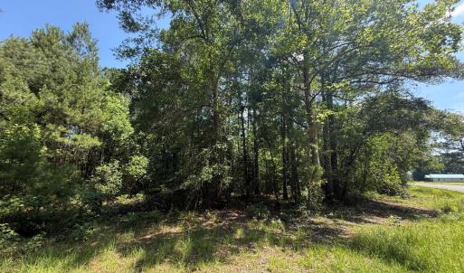 Photo #75 of 5799 Tolarsville Road , Saint Pauls , NC 439.0 acres