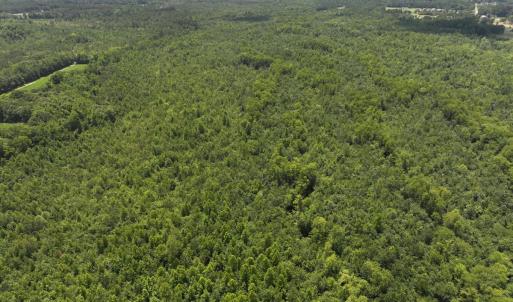 Photo #76 of 5799 Tolarsville Road , Saint Pauls , NC 439.0 acres