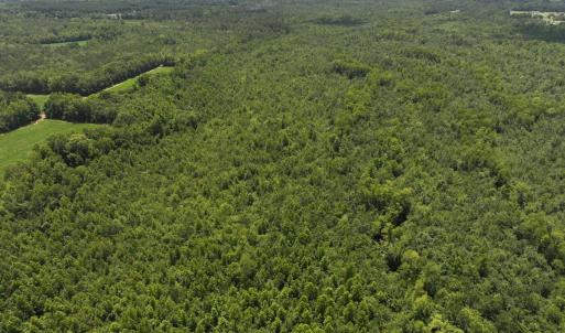 Photo #77 of 5799 Tolarsville Road , Saint Pauls , NC 439.0 acres