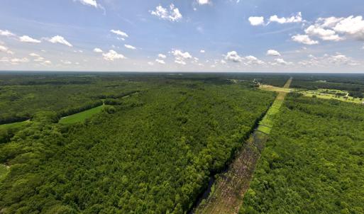 Photo #78 of 5799 Tolarsville Road , Saint Pauls , NC 439.0 acres