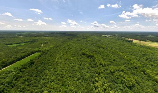 Photo #79 of 5799 Tolarsville Road , Saint Pauls , NC 439.0 acres