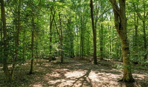 Photo #17 of Off Hilltop Lane, Smithfield, VA 19.1 acres