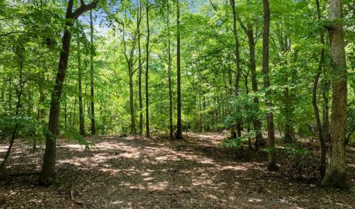 Photo #18 of Off Hilltop Lane, Smithfield, VA 19.1 acres