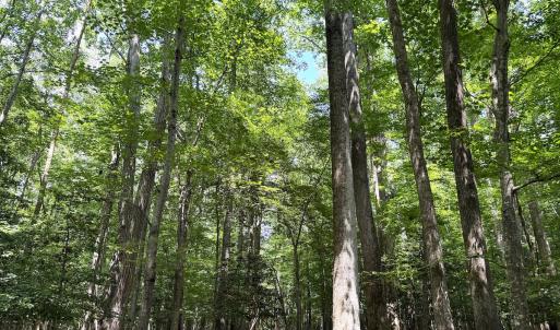Photo #21 of Off Hilltop Lane, Smithfield, VA 19.1 acres