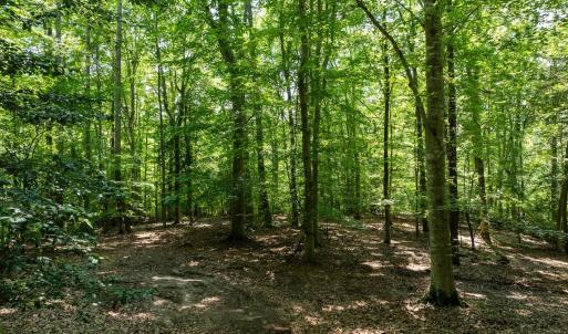 Photo #22 of Off Hilltop Lane, Smithfield, VA 19.1 acres