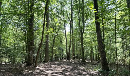 Photo #23 of Off Hilltop Lane, Smithfield, VA 19.1 acres