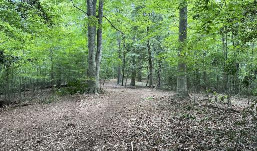 Photo #26 of Off Hilltop Lane, Smithfield, VA 19.1 acres