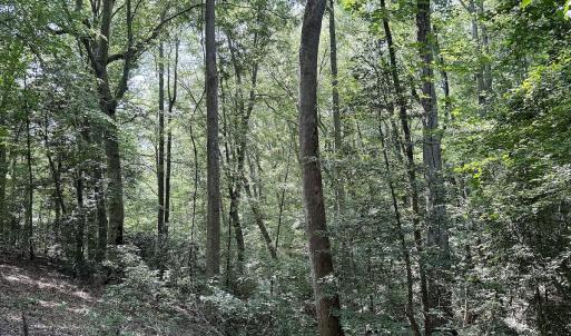 Photo #29 of Off Hilltop Lane, Smithfield, VA 19.1 acres
