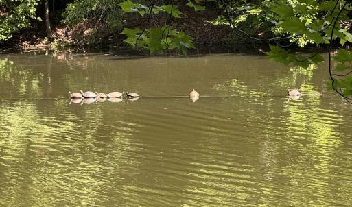 Photo #32 of Off Hilltop Lane, Smithfield, VA 19.1 acres