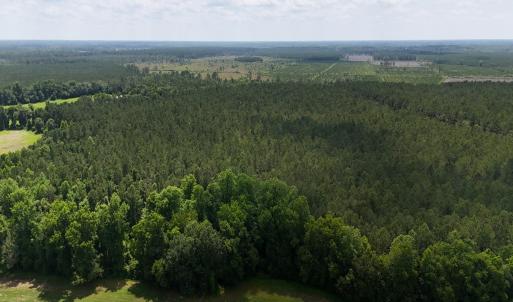 Photo #9 of Off Barbee Rd, Richlands , NC 97.0 acres