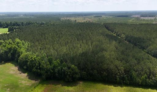 Photo #10 of Off Barbee Rd, Richlands , NC 97.0 acres