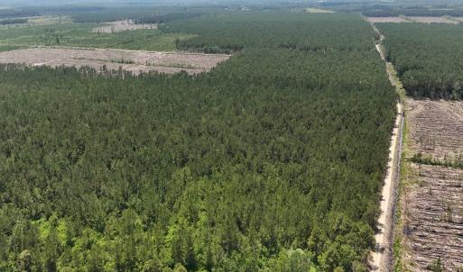 Photo #15 of Off Barbee Rd, Richlands , NC 97.0 acres