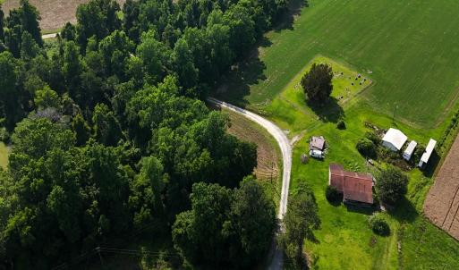 Photo #4 of Off Barbee Rd, Richlands , NC 97.0 acres