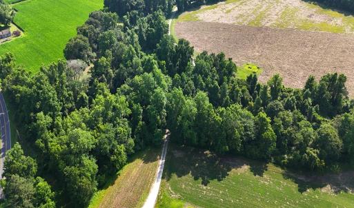 Photo #5 of Off Barbee Rd, Richlands , NC 97.0 acres