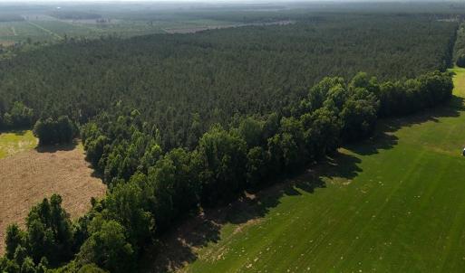 Photo #8 of Off Barbee Rd, Richlands , NC 97.0 acres