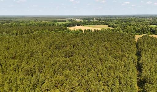 Photo #21 of Off Barbee Rd, Richlands , NC 97.0 acres